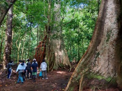 Ujung Kulon Tour